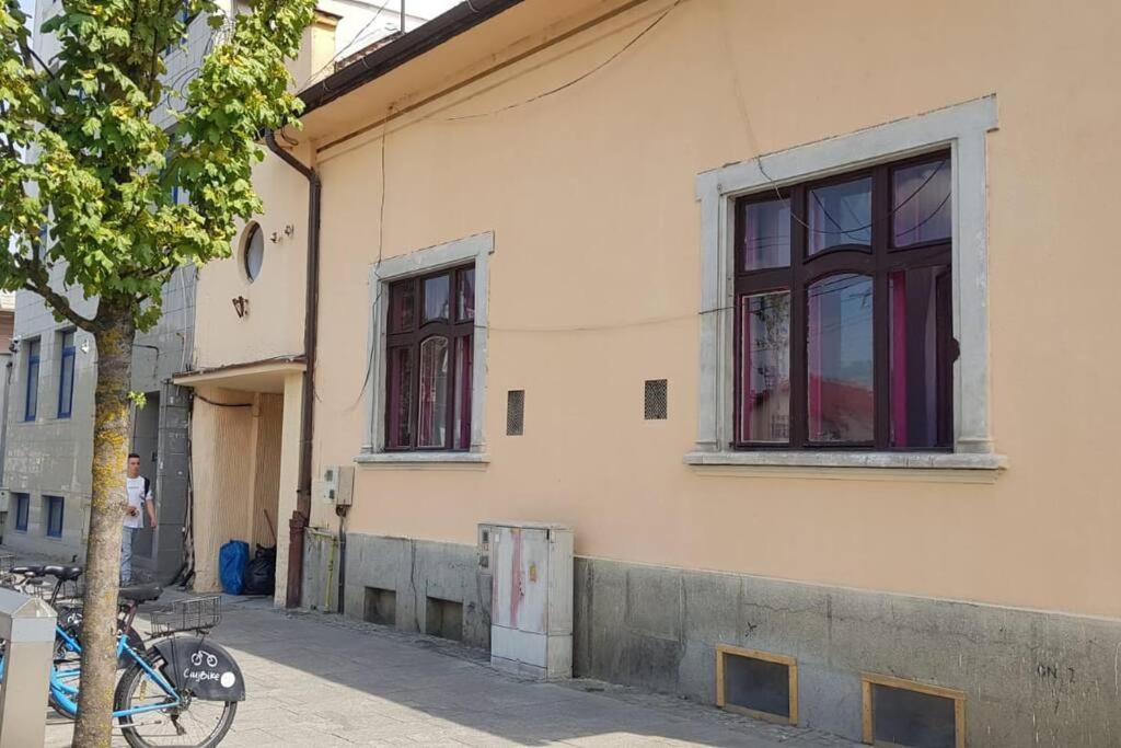 Josephine Central Villa & Garden Cluj Napoca Bagian luar foto